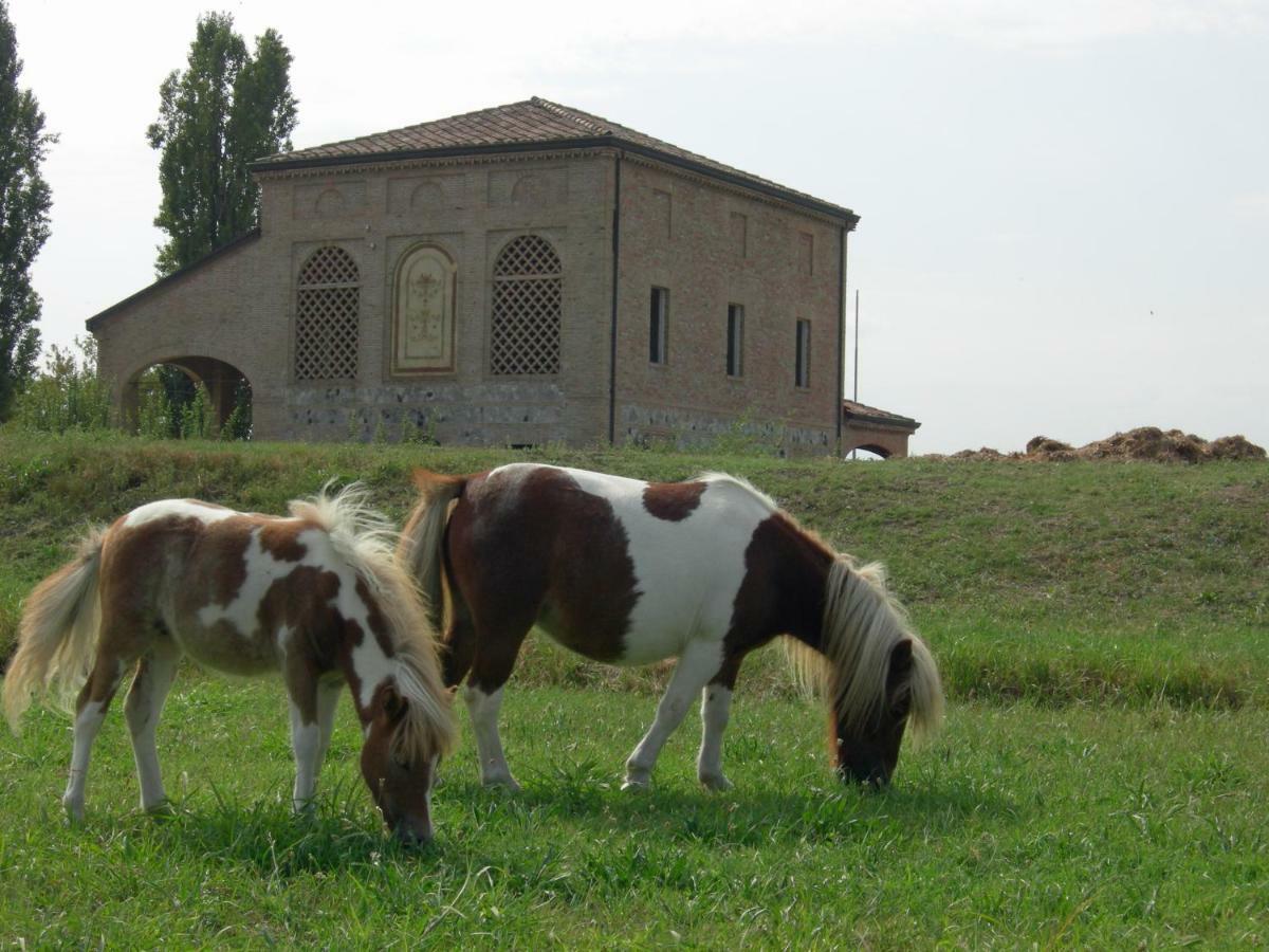Agriturismo Corte Ghiara Hotel Fontanellato Exterior photo